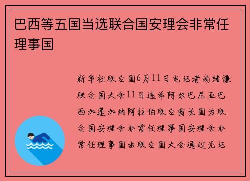 巴西等五国当选联合国安理会非常任理事国