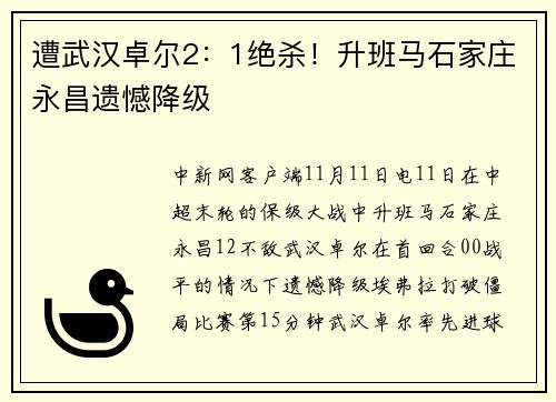 遭武汉卓尔2：1绝杀！升班马石家庄永昌遗憾降级